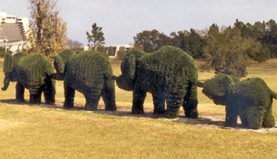 outdoor elephant topiaries
